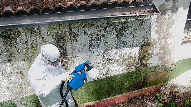 Top rated local Commercial Mold Remediation specialists in Bozman, MD